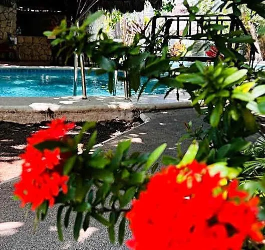 Mayan Art Boutique - 10th Ave Hotel
